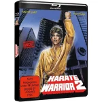 Karate Warrior 2