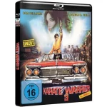 Karate Warrior 3