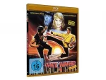 Karate Warrior 4